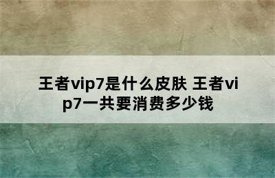 王者vip7是什么皮肤 王者vip7一共要消费多少钱